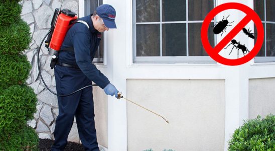 Beyşehir Karınca İlaçlama böcek ilaçlama ve haşere kontrolü — ilaclama-tr.com